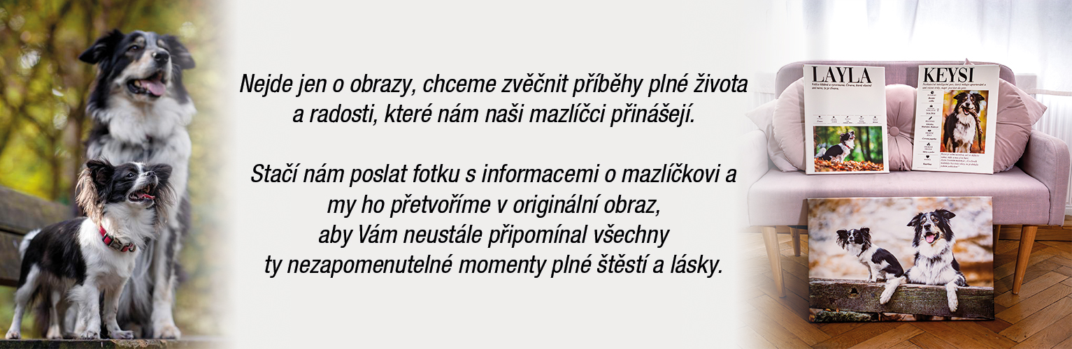 Pokus