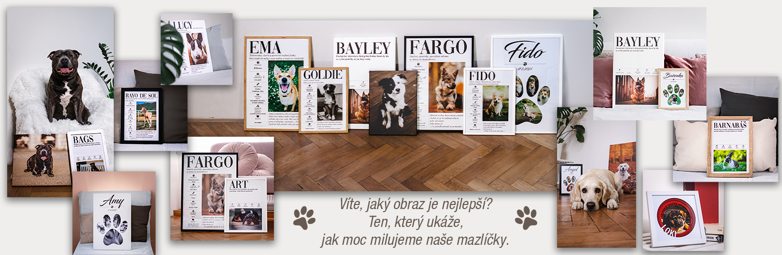 RECENZE
