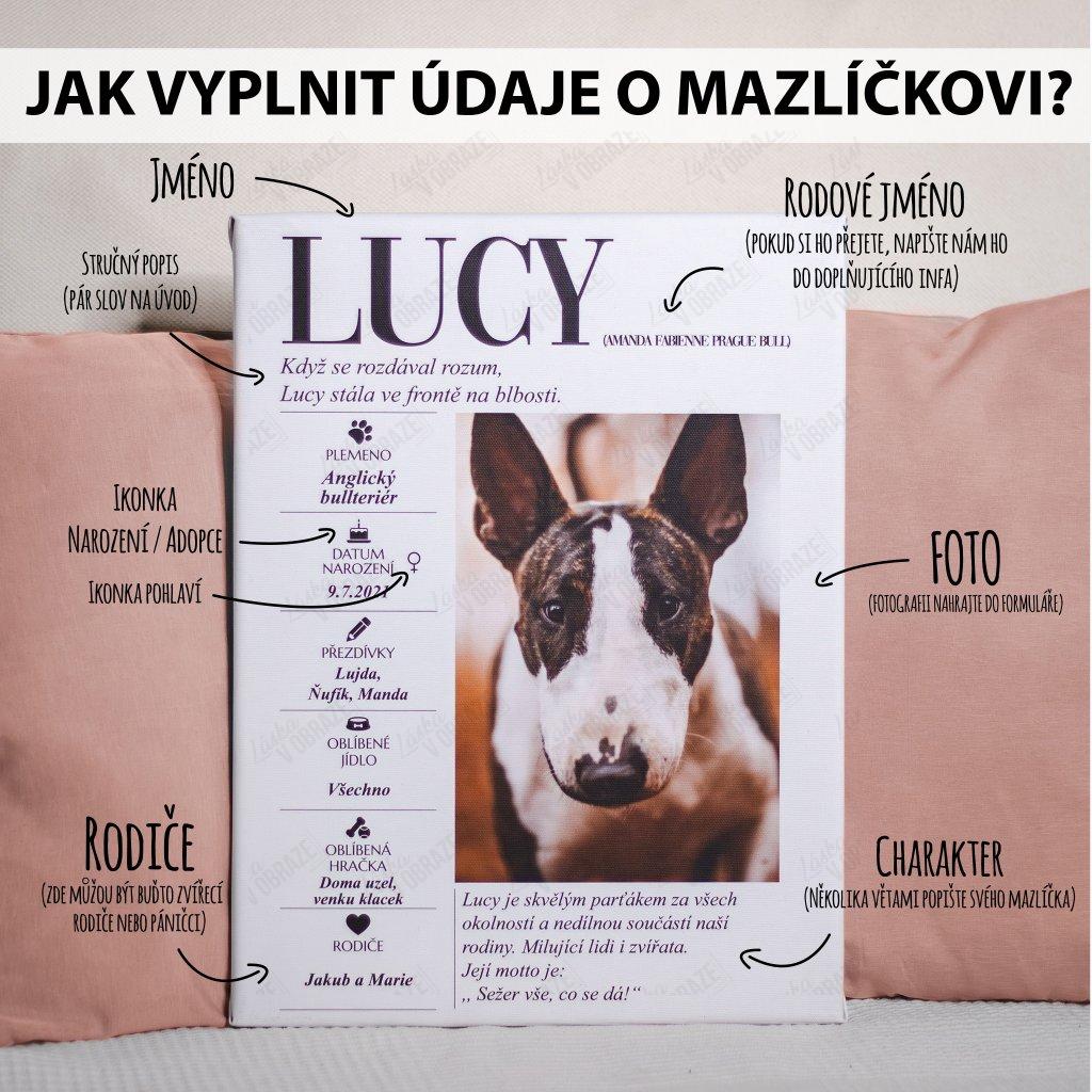 BELA - plakát v rámu
