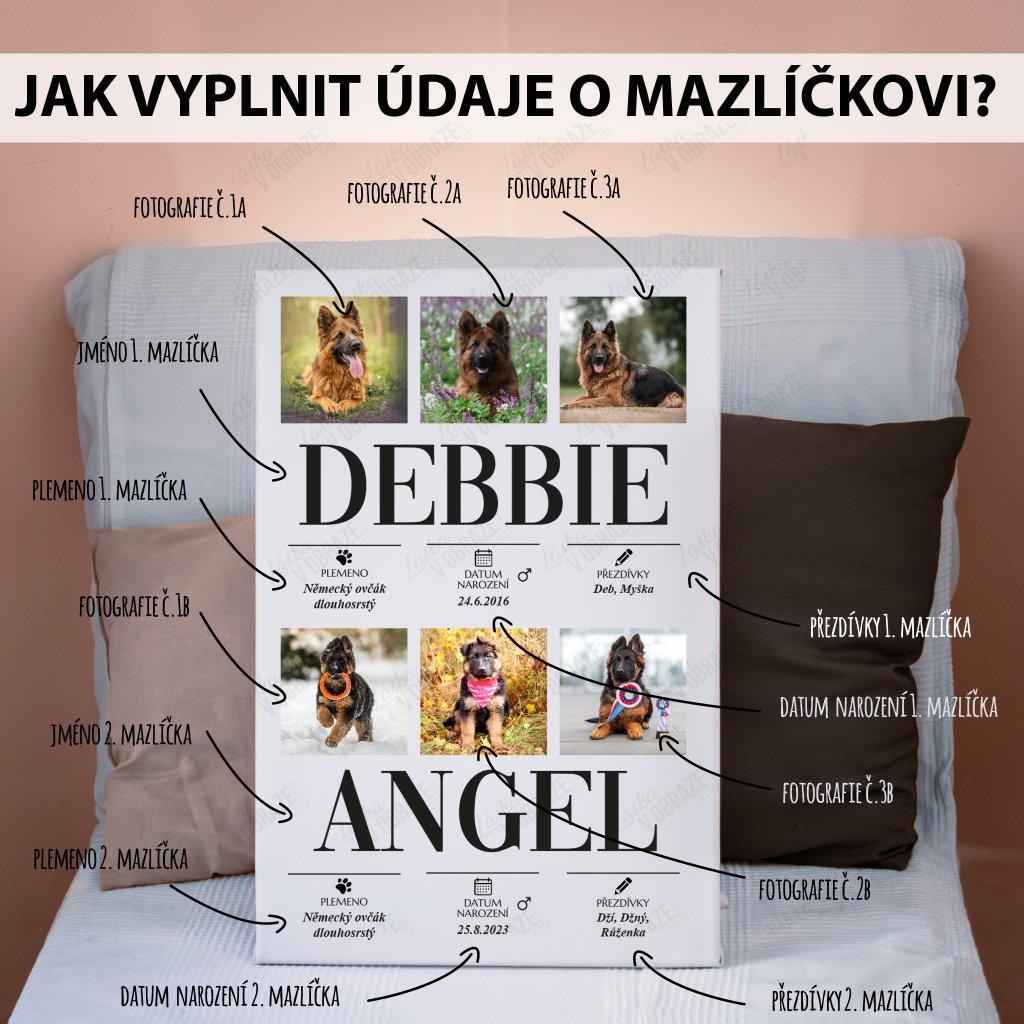 DUO - plakát v rámu