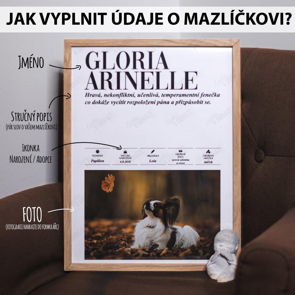 MARIO - plakát v rámu