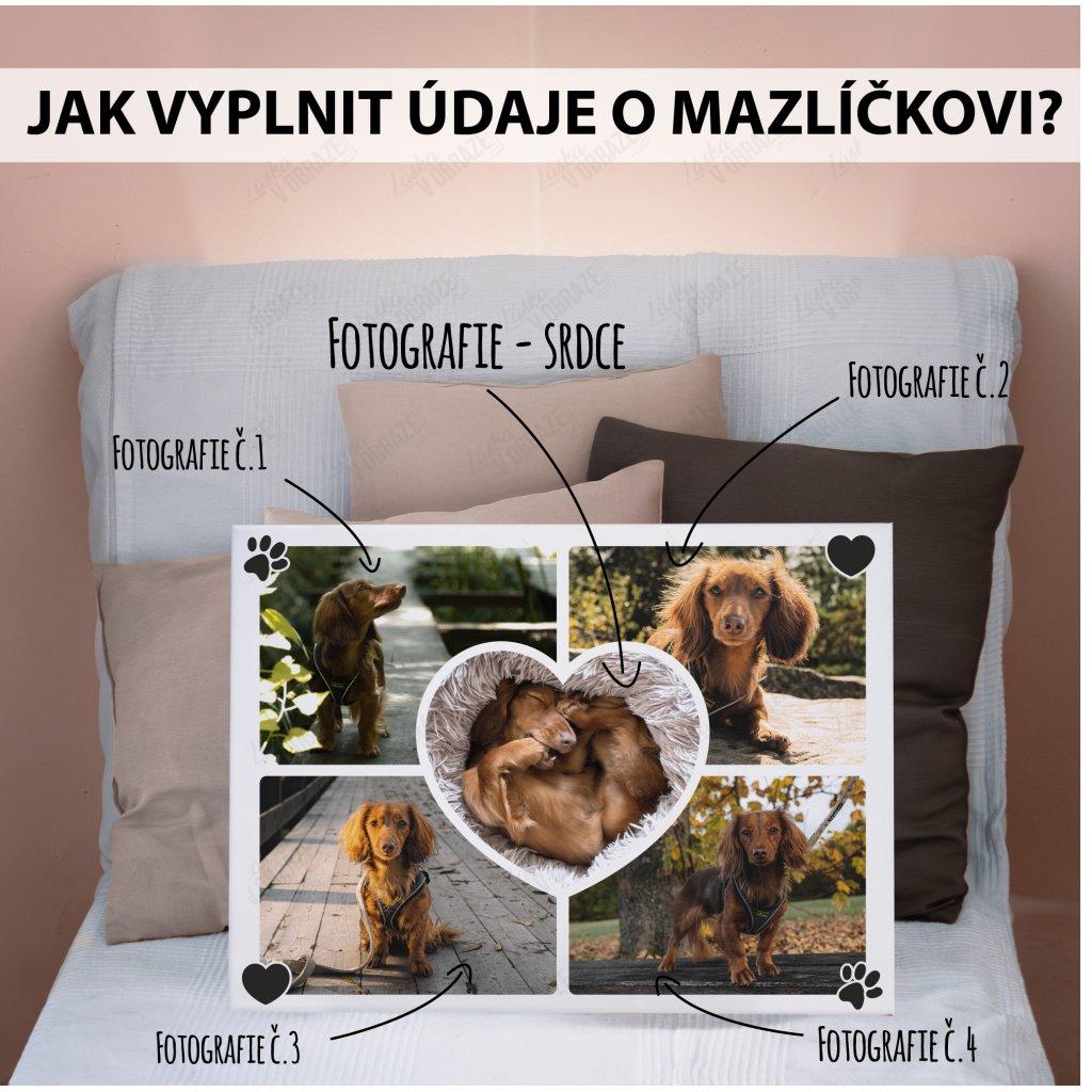 VALENTINE - plakát v rámu