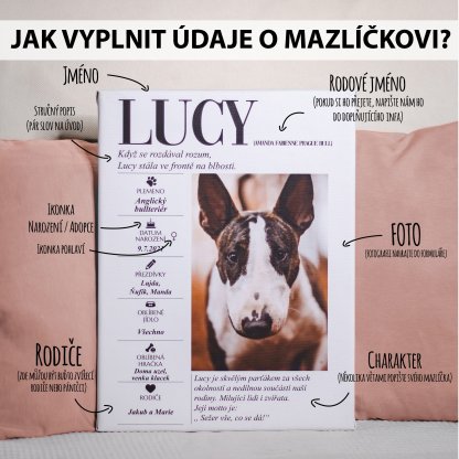 BELA - plakát v rámu