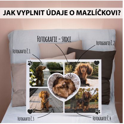 VALENTINE - plakát v rámu