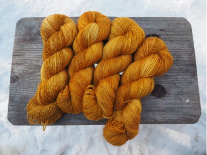 Polednice ExF Merino 19