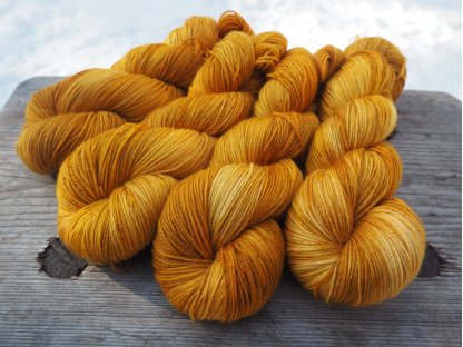 Polednice ExF Merino 19