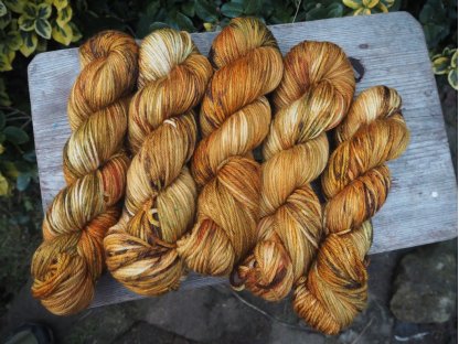 Procházka v listí ExF Merino DK 19 2