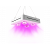 LED Grow Light