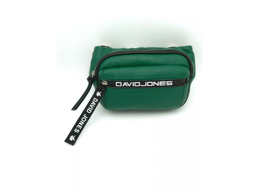 Crossbody kabelka / ledvinka David Jones CH6166-1, různé barvy