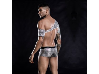 Pánský kostým Sexy men stříbrný 7237