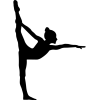 Gymnastický dres