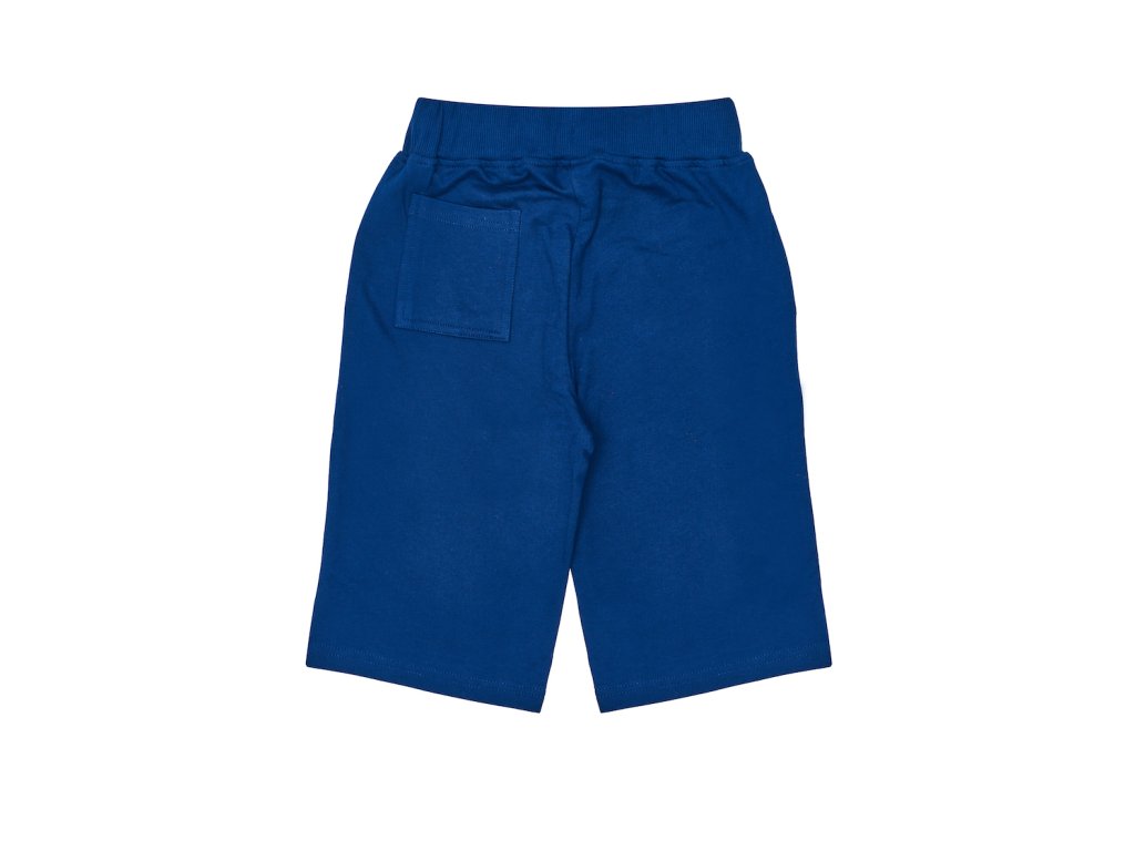 Chlapecké kraťasy Legendary - navy