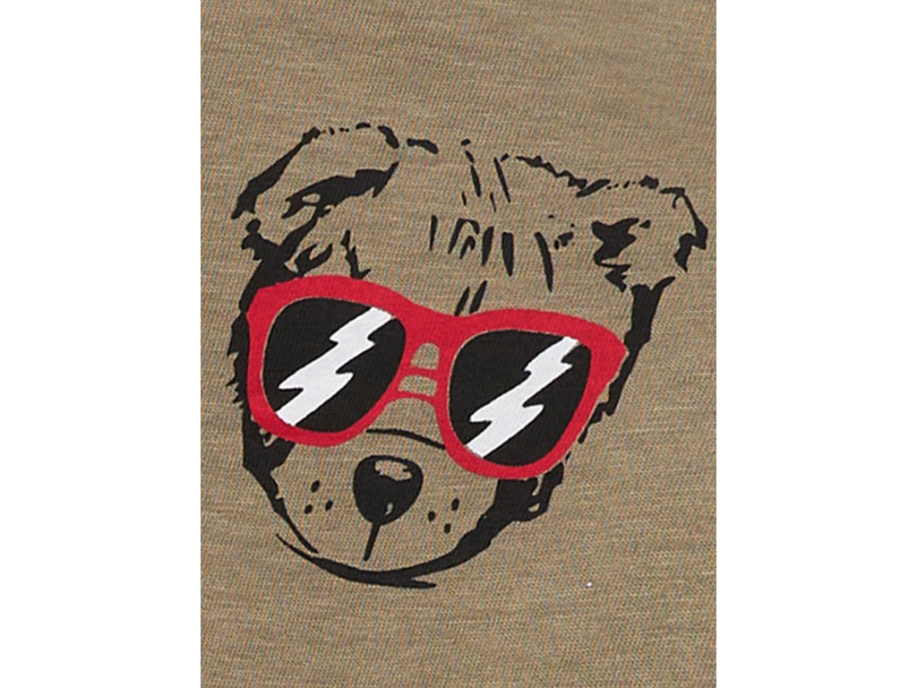 Chlapecké tričko s krátkým rukávem Bear - šedá/khaki