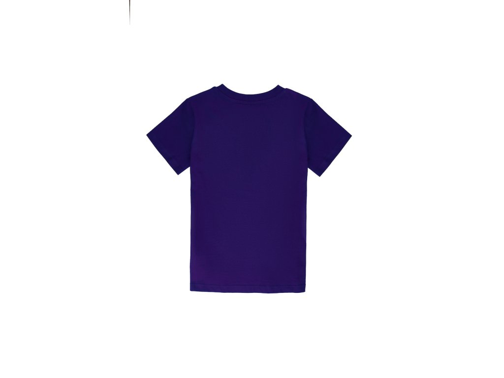 Chlapecké tričko Summer Vibe - navy