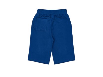 Chlapecké kraťasy Legendary - navy