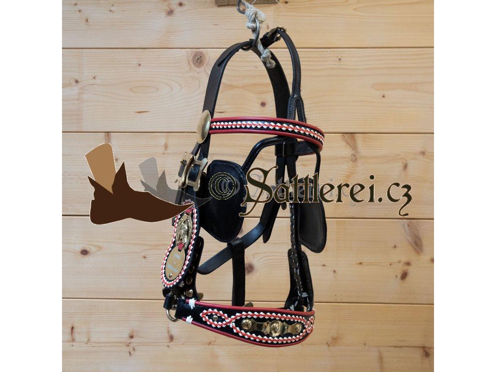 Harness for horses