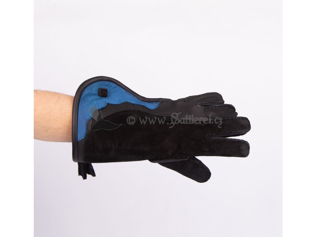 Gloves for falconer
