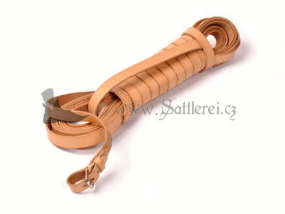 Dog collar with leash