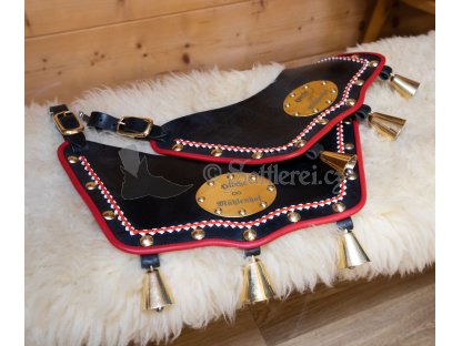 Harness for horses