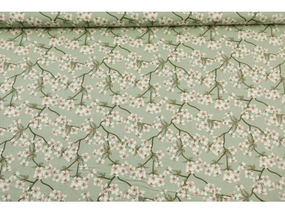 Bavlněná látka / plátno - Sakura dusty mint