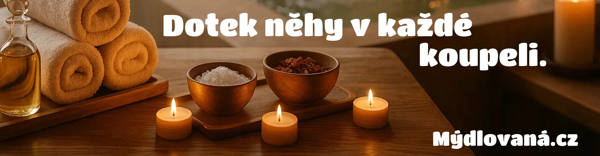 Úvodní