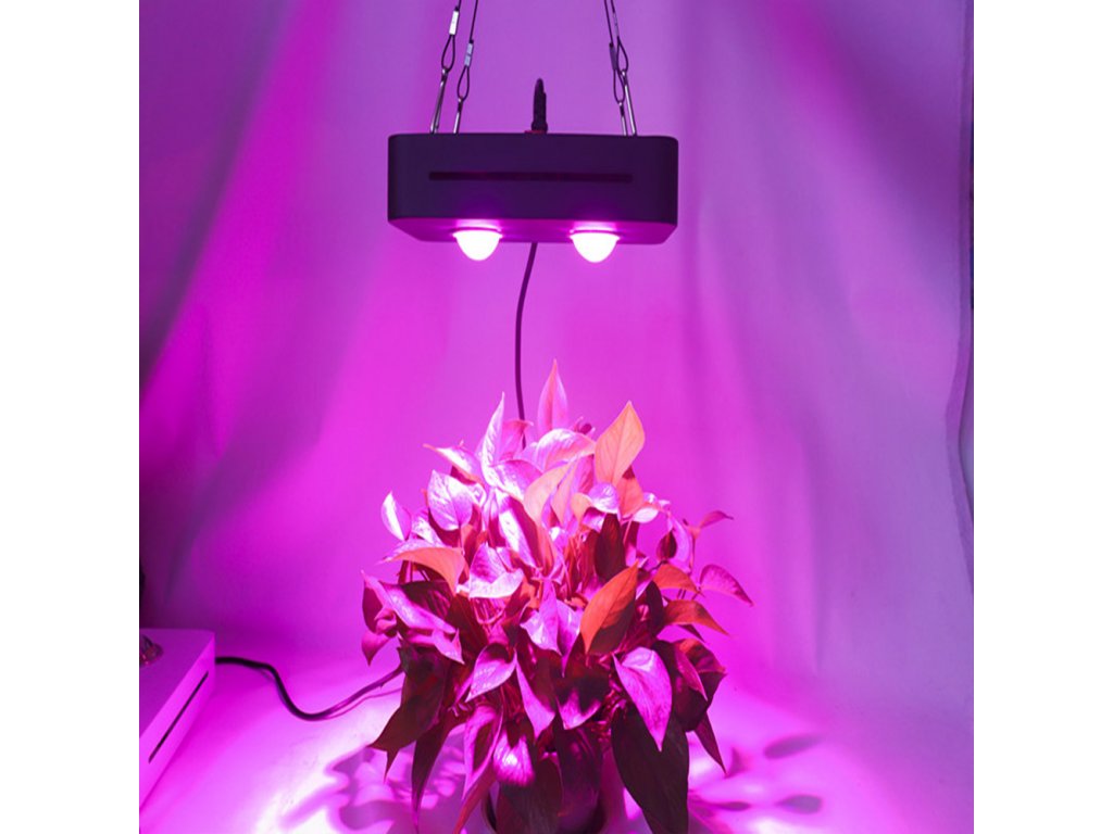 LED GROW Lampa pro rostliny COB 1000