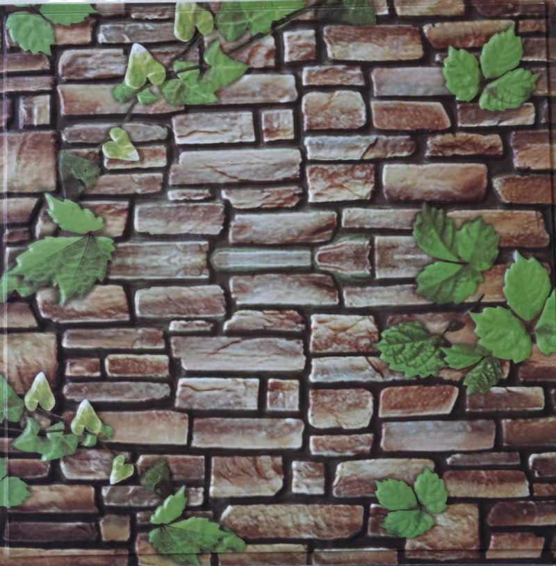 WALL STICKER Samolepka na zeď 3D 30x30