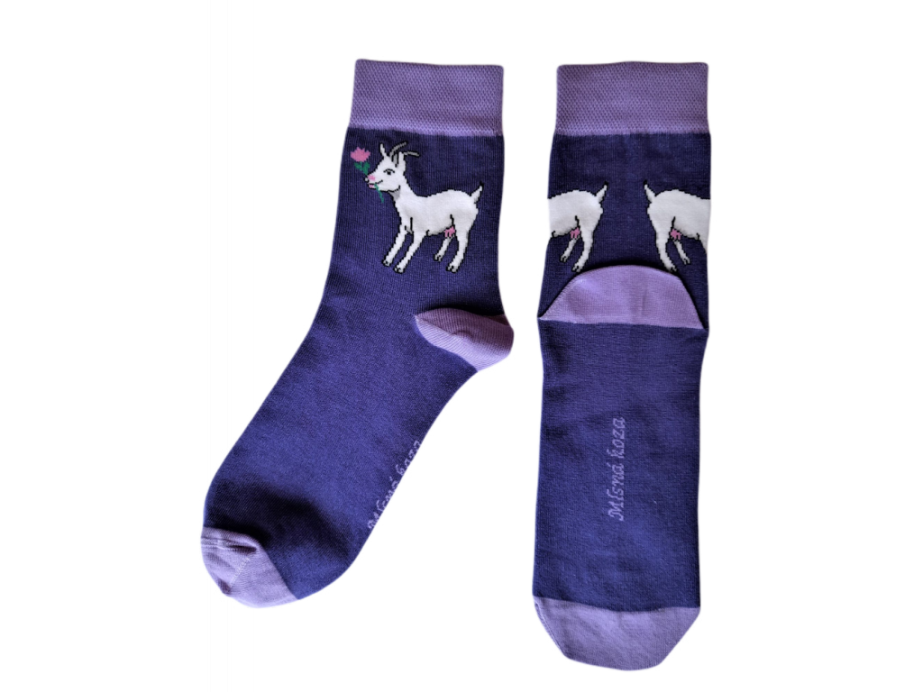 Dámské ponožky Mlsná koza fialové 38 - 41