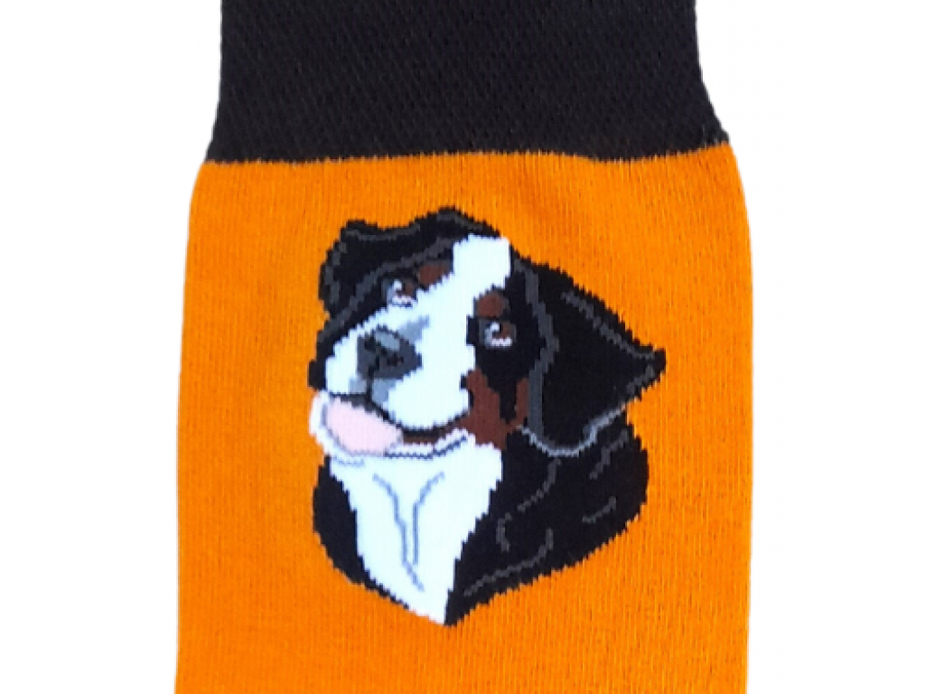 Ponožky s bernským salašnickým psem - oranžové dámské