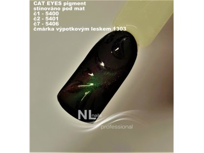 PIGMENT CAT EYES 5