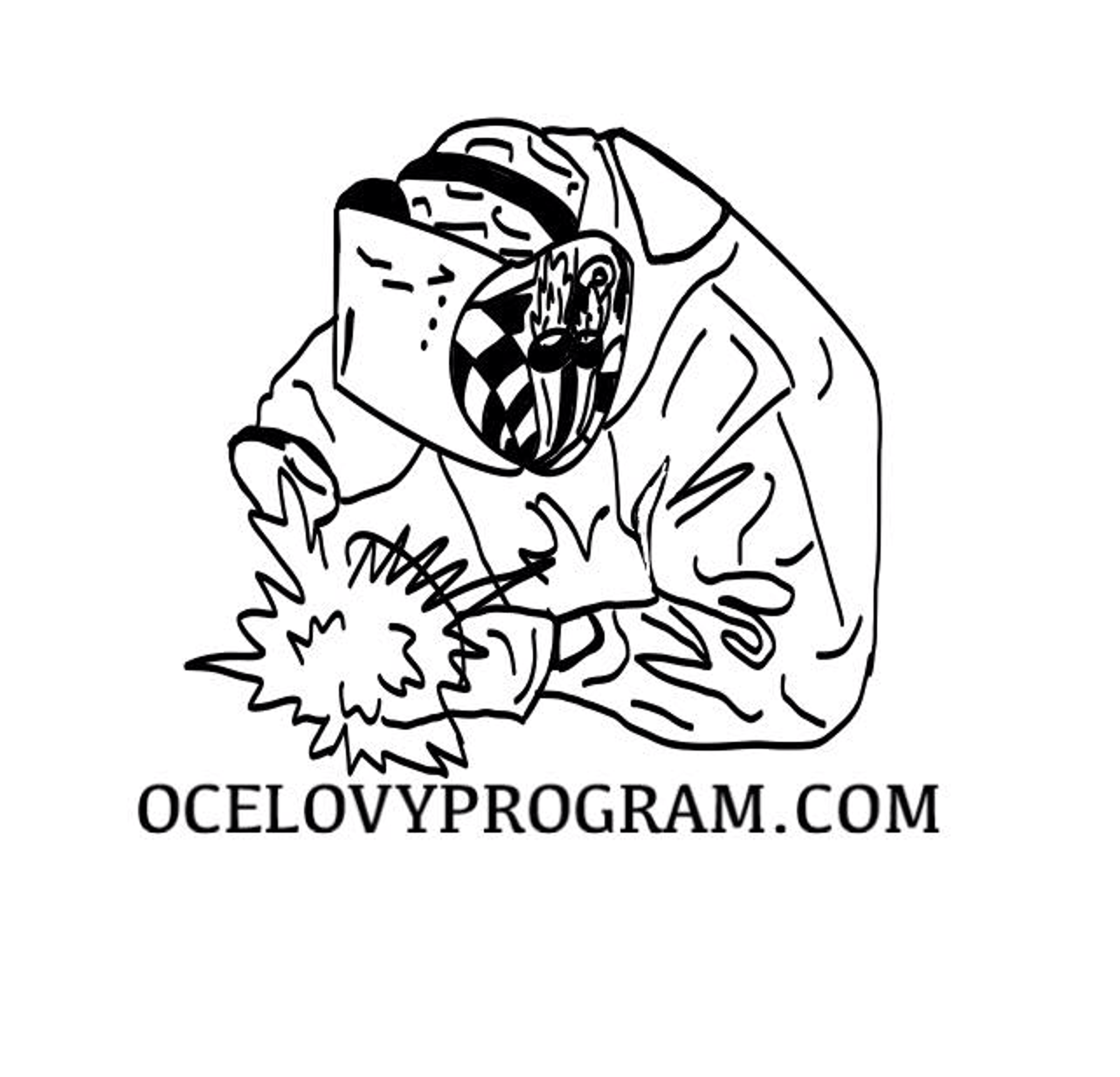 Ocelovyprogram.com