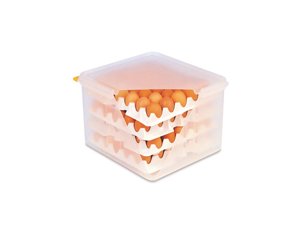 egg box