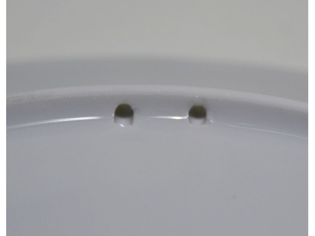 cibulák  talíř závěsný na zeď mělký 24 cm český porcelán Dubí