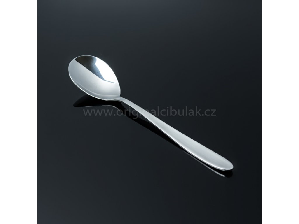 Spoon Paola CR Berndorf Sandrik cutlery stainless steel 1 piece