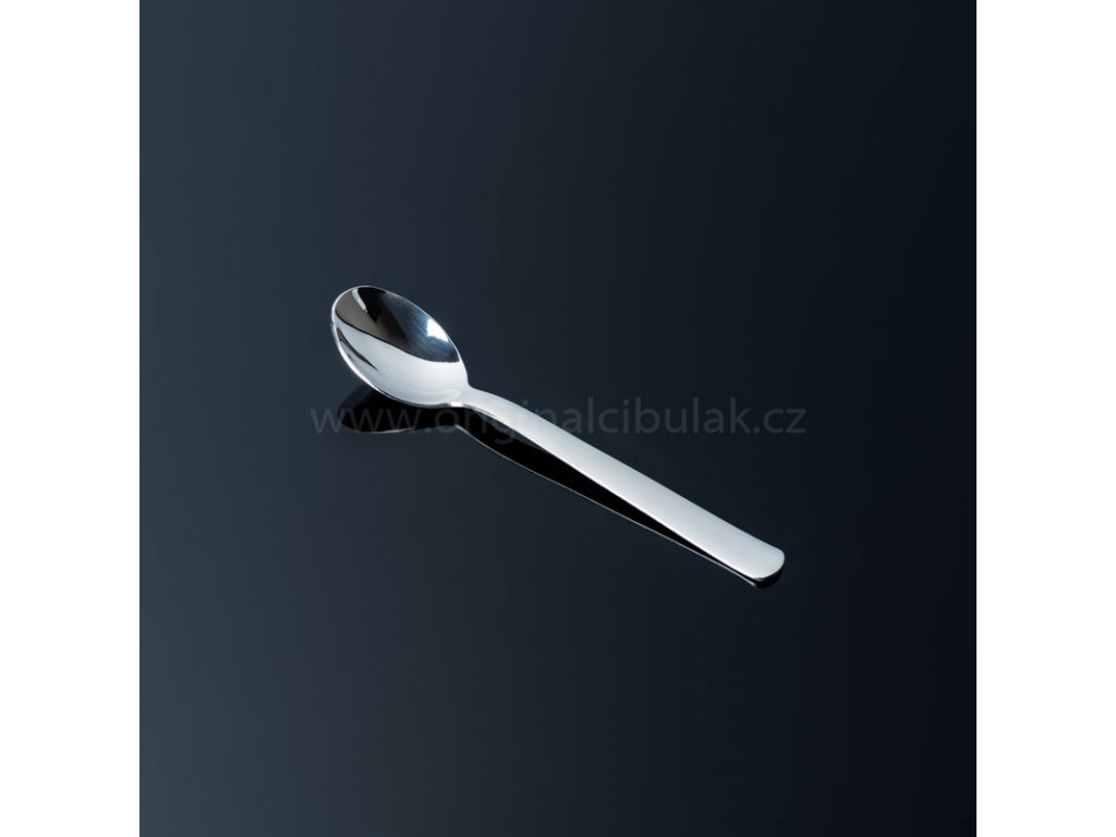 Dining spoon TONER Progres Nova 1 piece stainless steel 6036