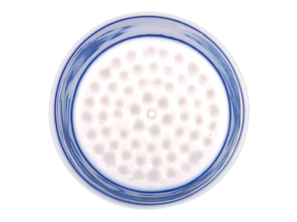 Cibulák Náprstok 2,3 cm 10g Originálny Český Porcelán Dub