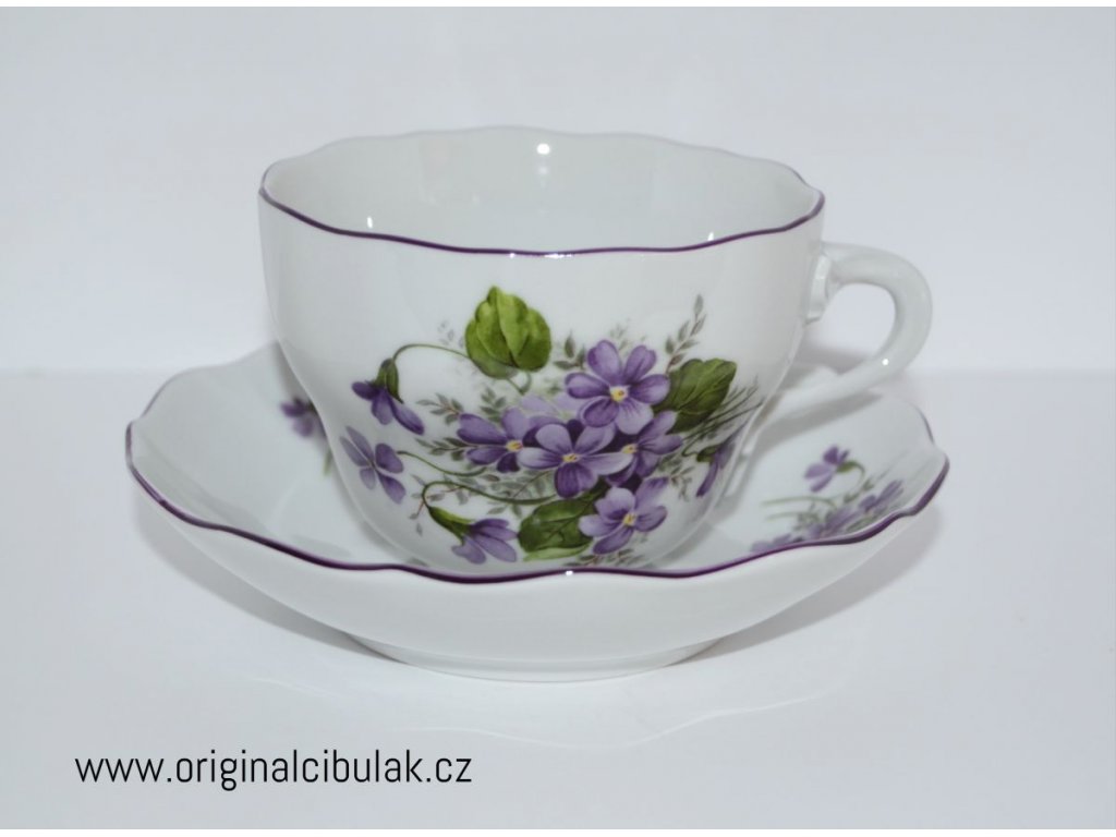 Cup and saucer violets Czech porcelain Dubí violet line