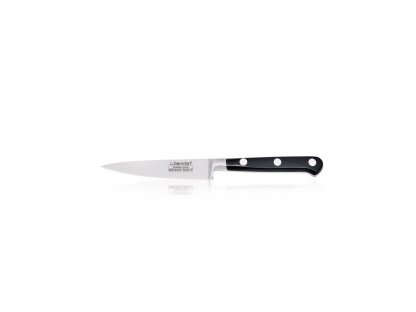 nůž kuchyňský  na zeleninu  Sandrik Berndorf  ocel čepel 10 cm Profi line