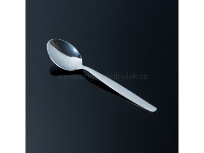 Cutlery Praktik Toner dining set 24 pcs for 6 persons stainless steel 6040