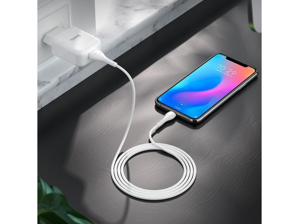 Cestovní nabíječka USB + kabel Type C 2A N2 Vigour - bílá