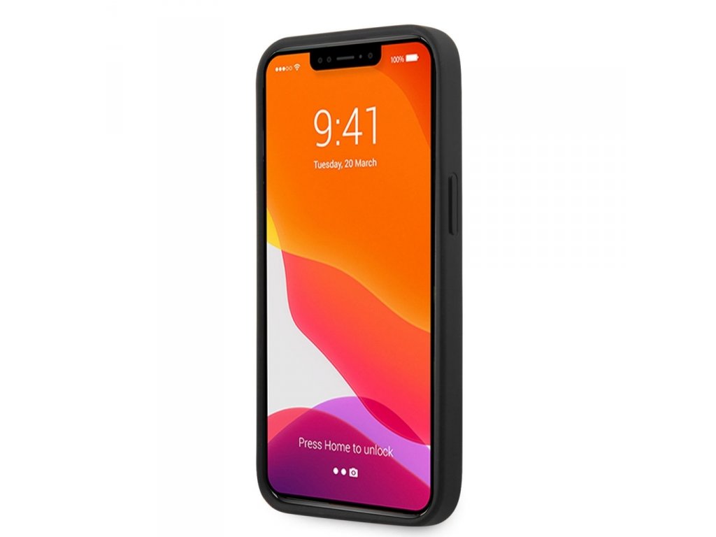 Zadní kryt Leather with Curved Line pro iPhone 13 Pro Max černý FEHCP13XRGOK