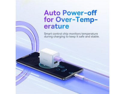 BASEUS cable USB to Type C Power Delivery Explorer 100W 2m purple CATS010505