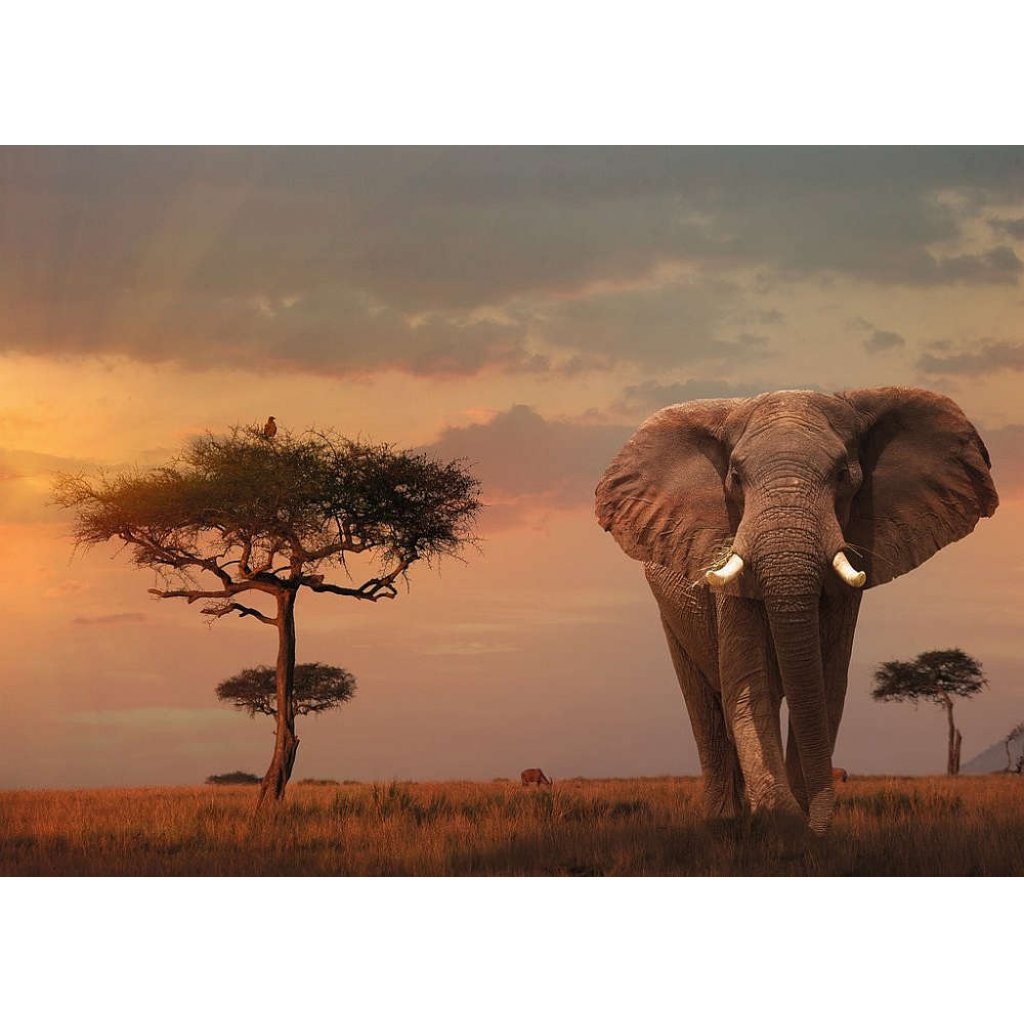 Puzzle 151592 Slon v národním partu Masai Mara 1000 dílků 