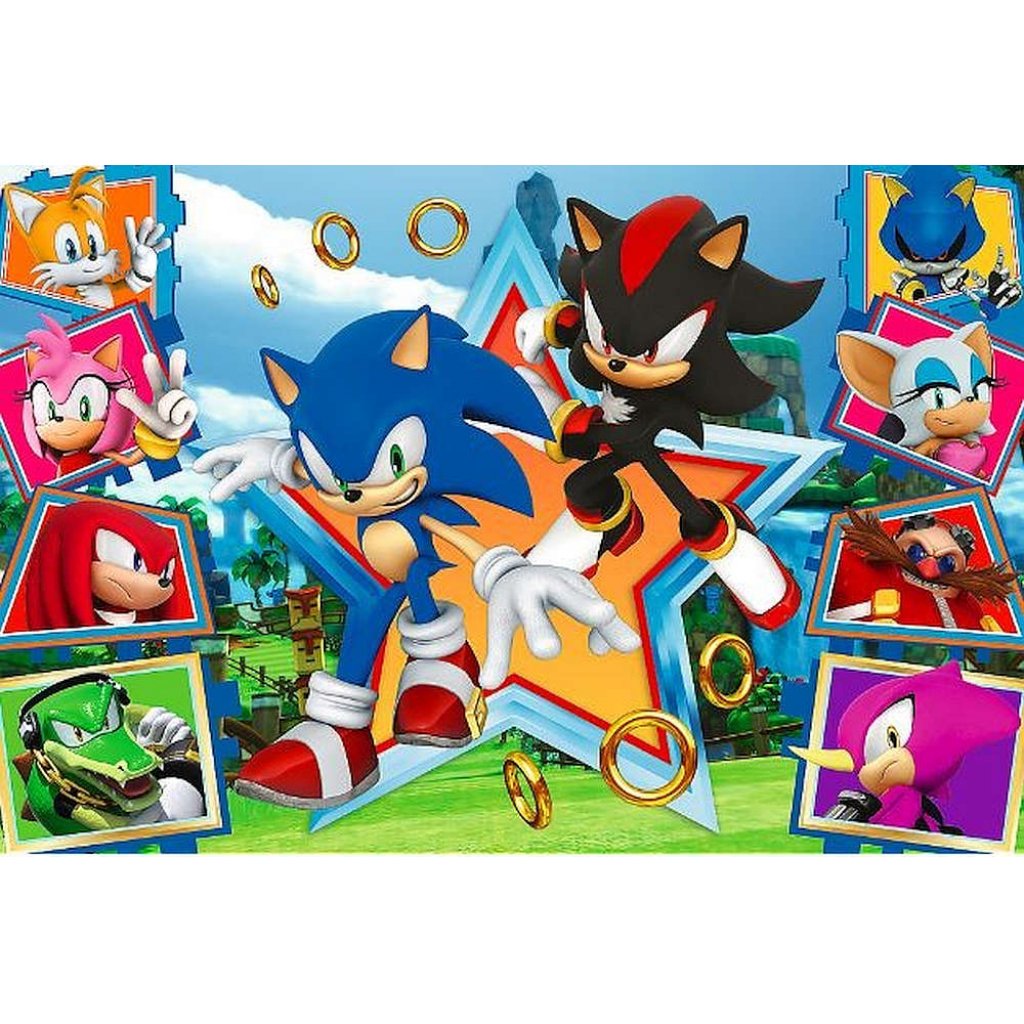 Puzzle 16465 Sonic the Hedgehog 100 dílků