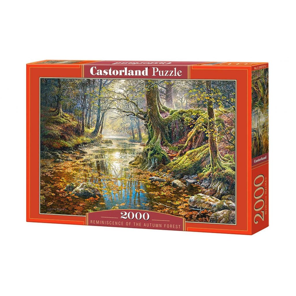 Puzzle 200757 Vzpomínka z podzimního lesa  2000 dílků