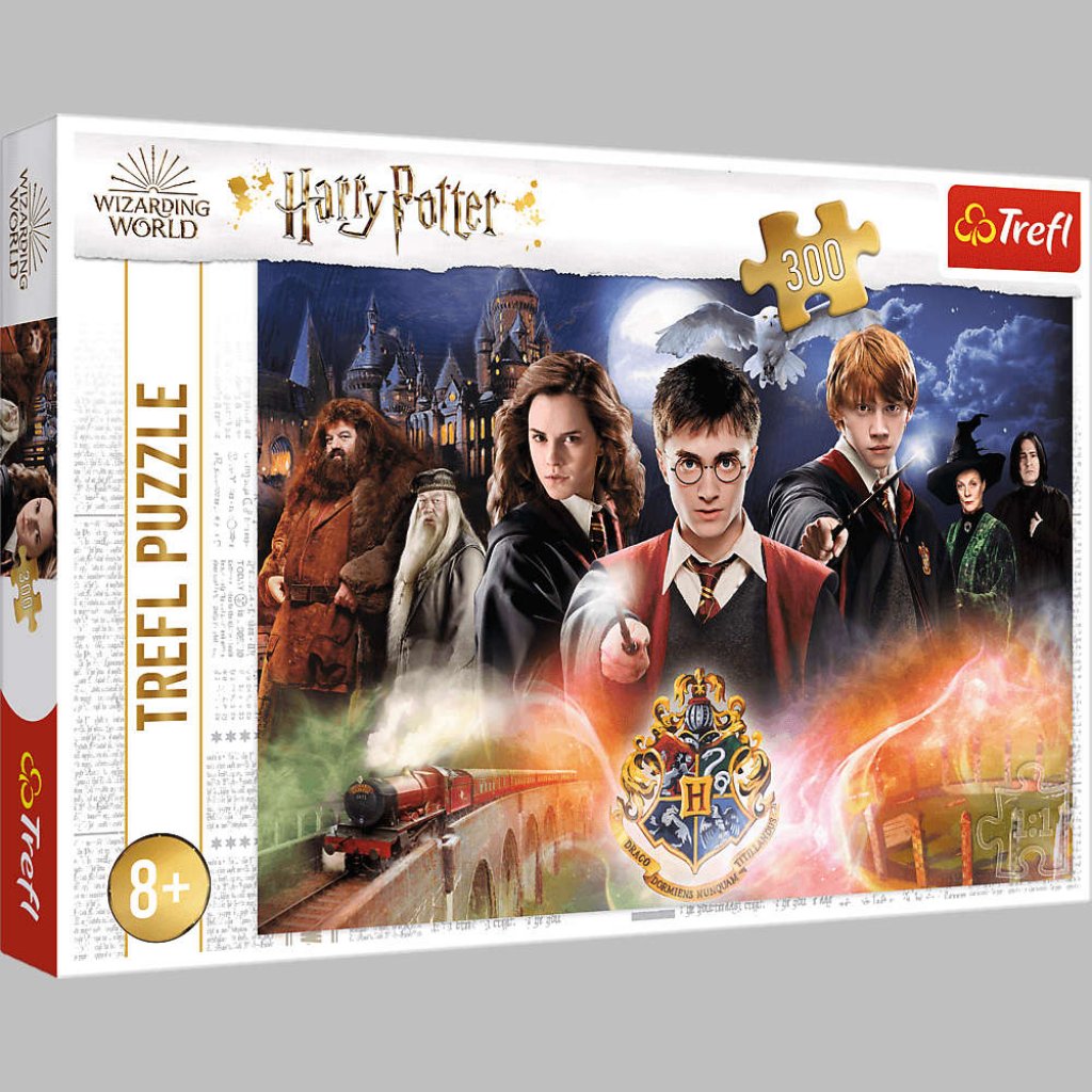 Puzzle 23001 Harry Potter 300 dílků