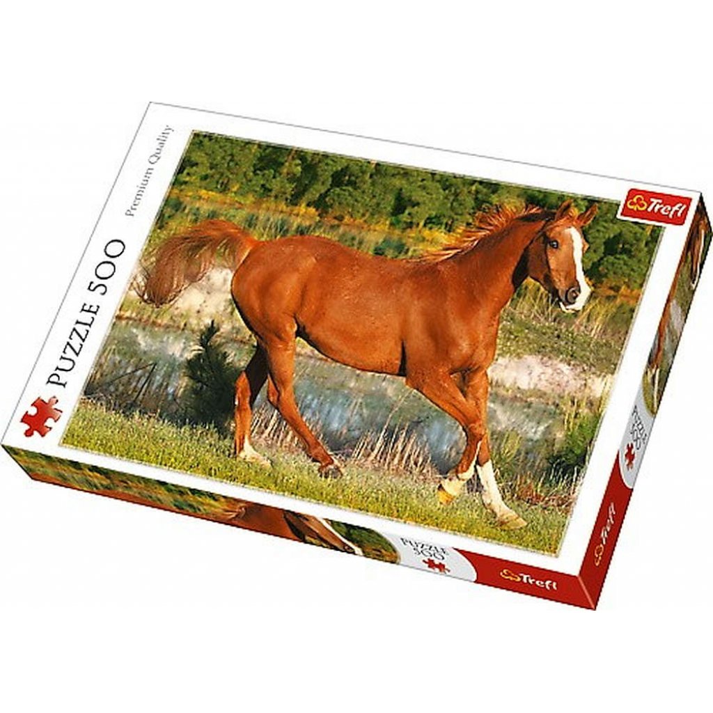 Puzzle 37184 Kůň, krása cvalu 500 dílků