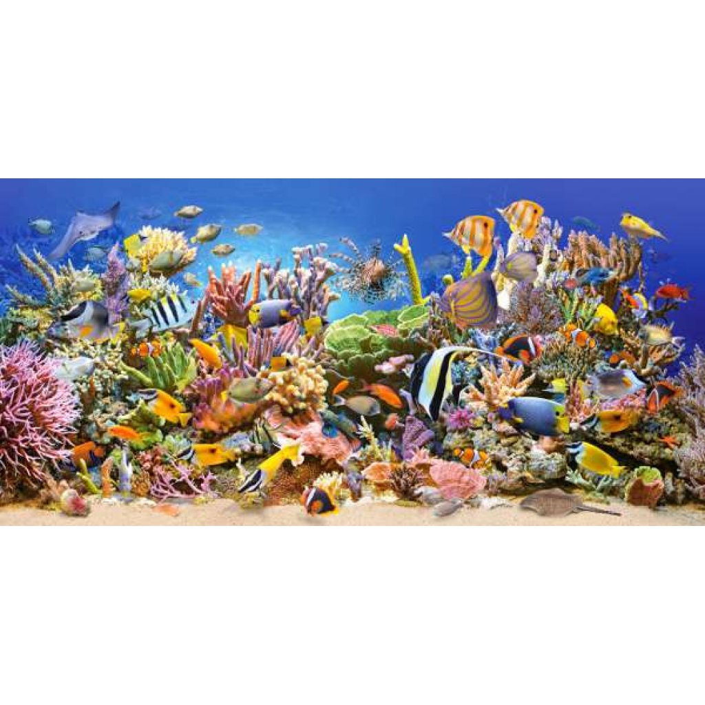 Puzzle 400089 - Podmořský život - 4000 dílků