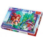 Puzzle 16250 - Víla Ariel - 100 dílků, SLEVA poškozená folie  obalu