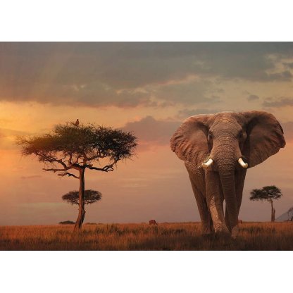 Puzzle 151592 Slon v národním partu Masai Mara 1000 dílků 